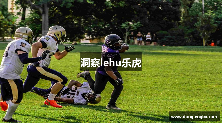 洞察lehu乐虎